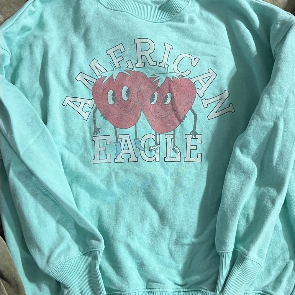 American Eagle Outfitters Teal Graphic Sweater